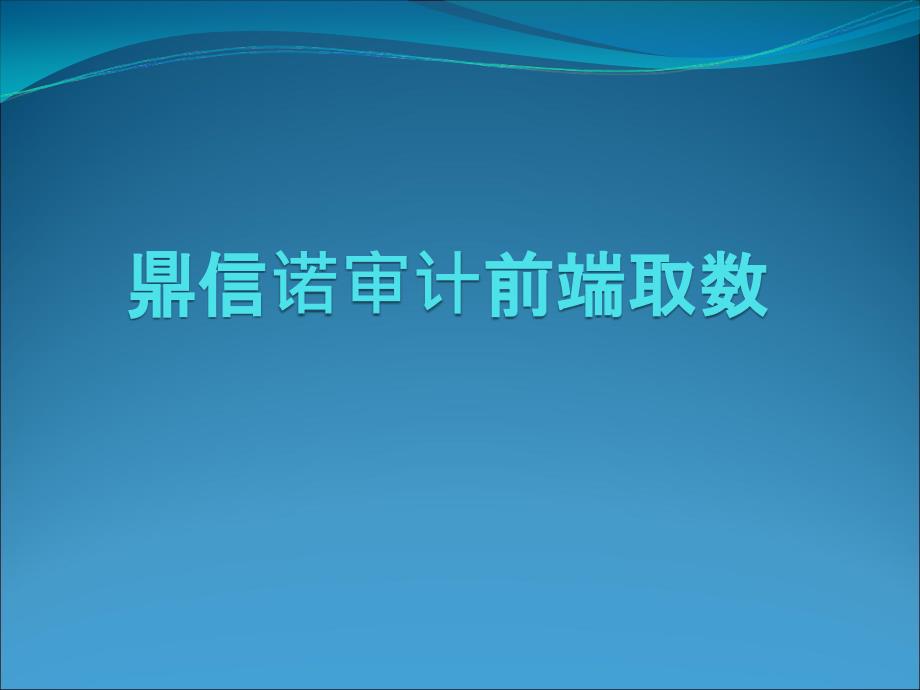 鼎信诺审计前端取数讲解_第1页