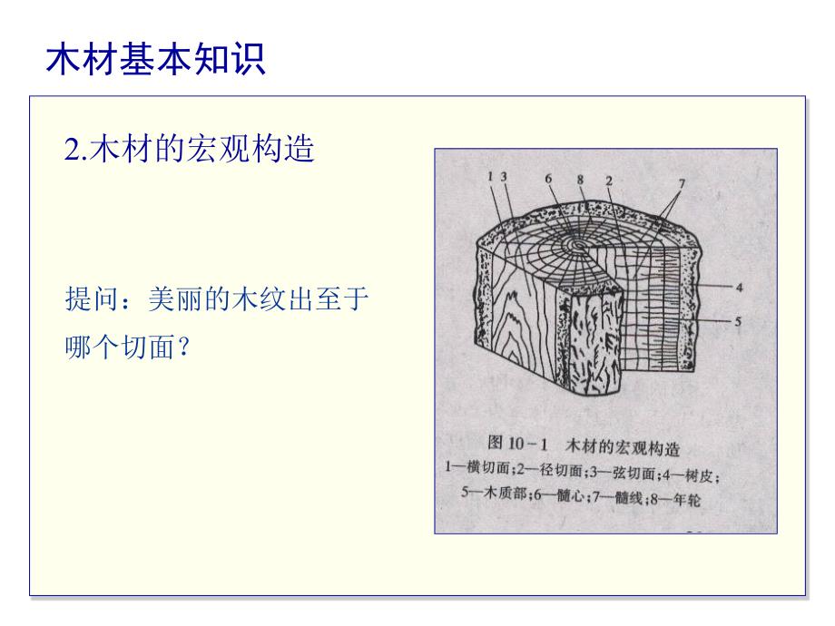 建筑材料第九章木材.ppt_第4页