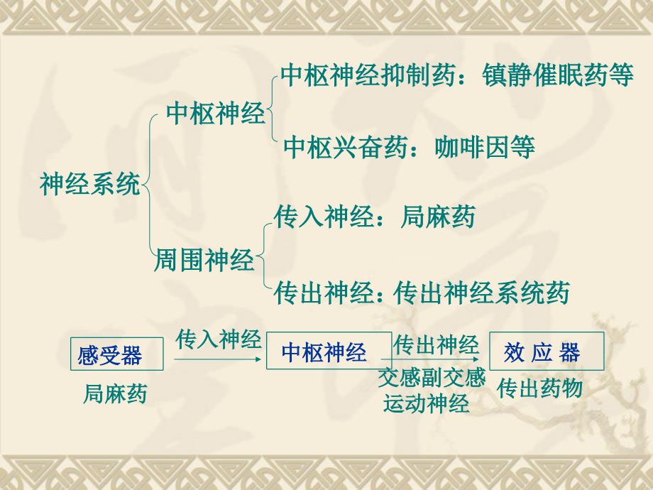 最新05传出神经系统药理概论PPT文档文档资料_第1页