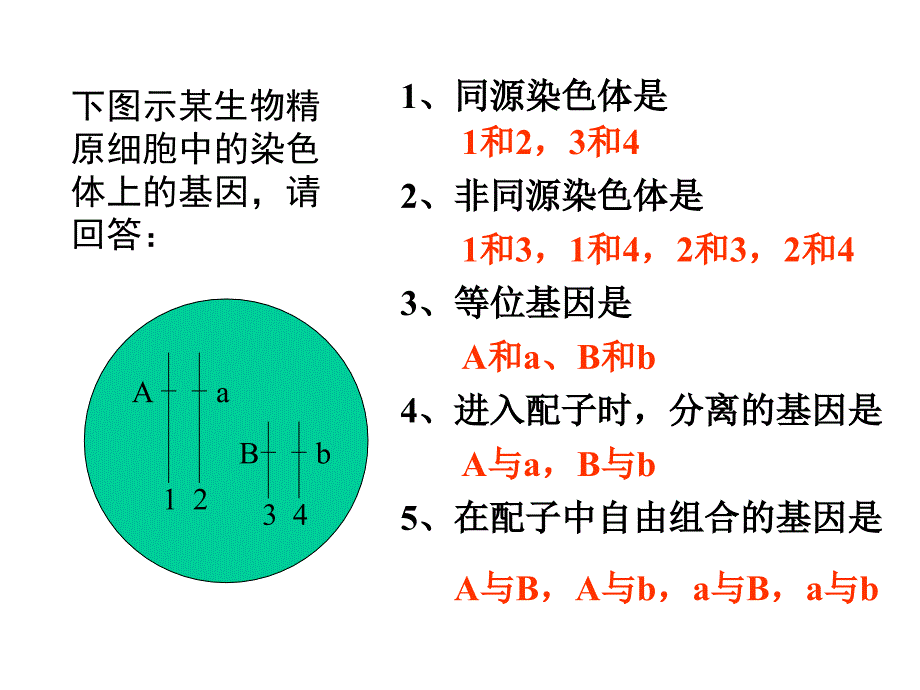 性别决定和伴性遗传.ppt_第2页