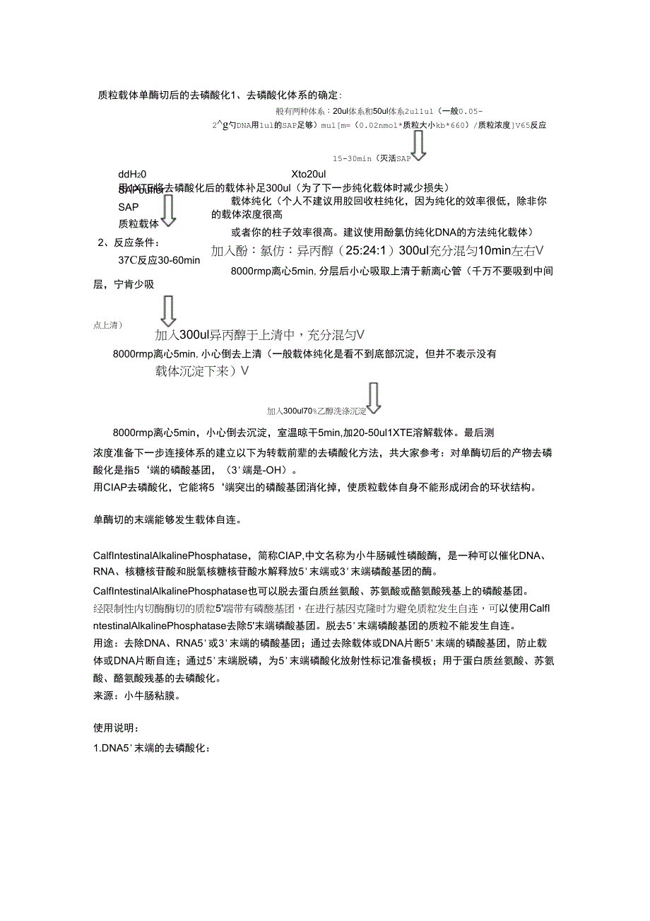 载体处理去磷酸化_第1页