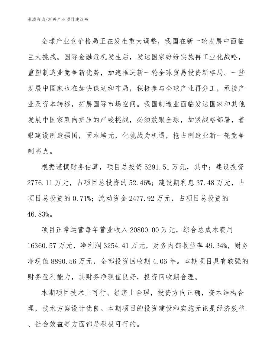 新兴产业项目建议书（模板参考）_第5页