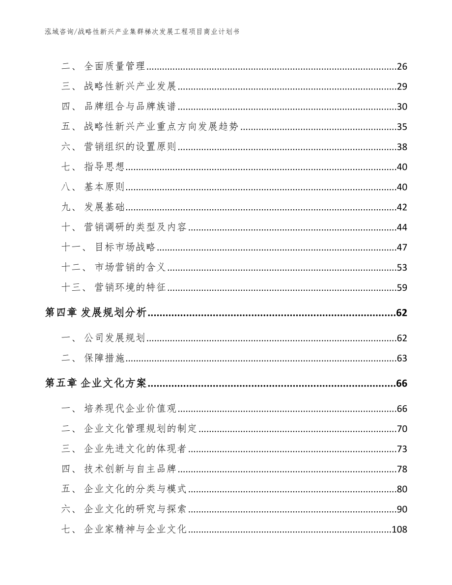 战略性新兴产业集群梯次发展工程项目商业计划书_第3页