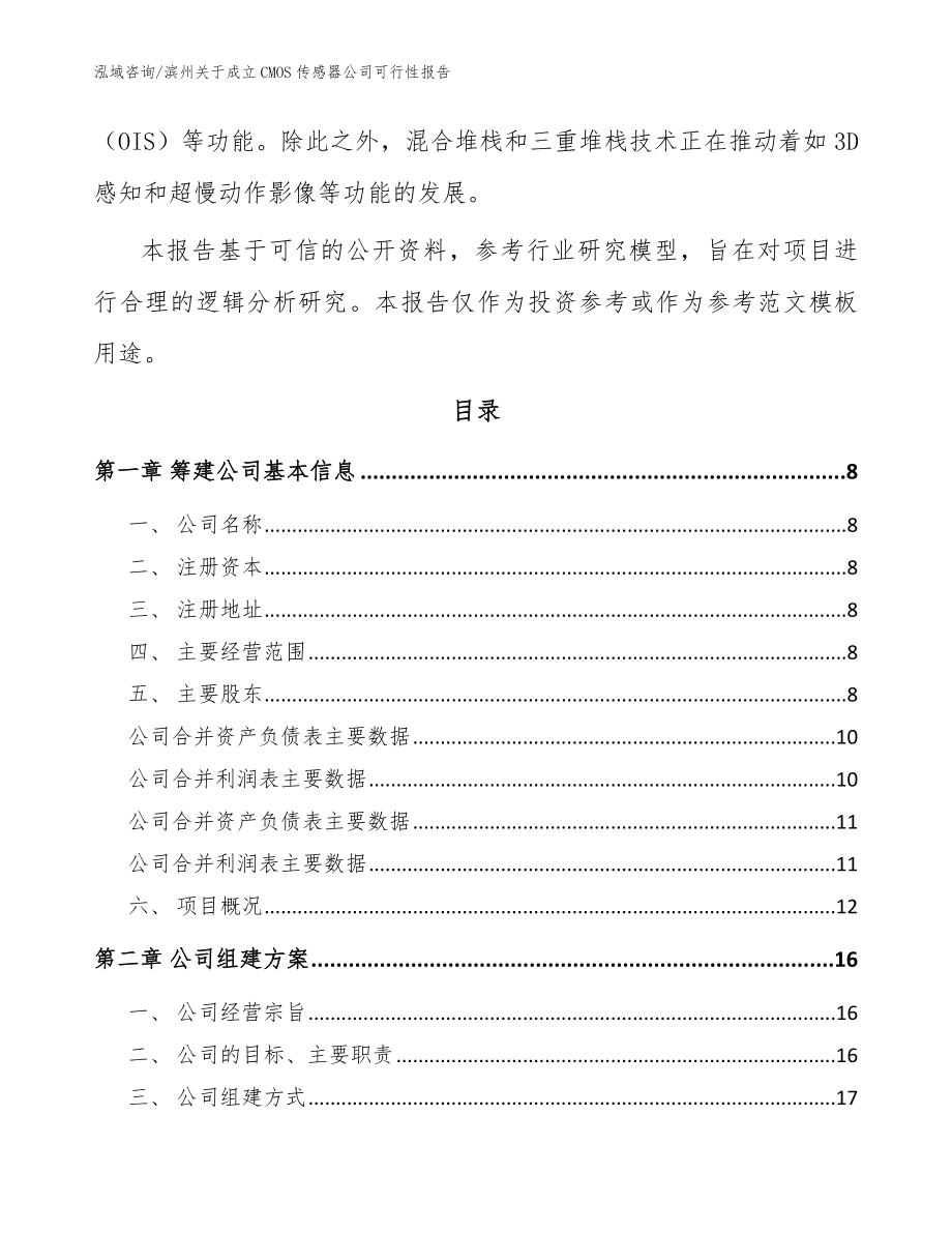 滨州关于成立CMOS传感器公司可行性报告【参考模板】_第3页