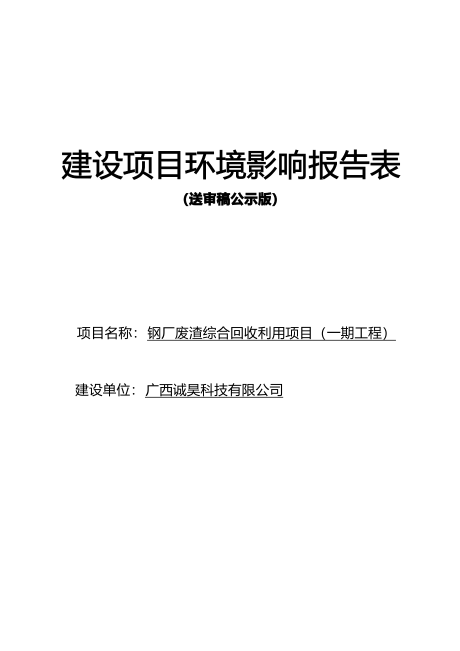 广西诚昊科技有限公司钢厂废渣项目环评报告表.docx_第1页