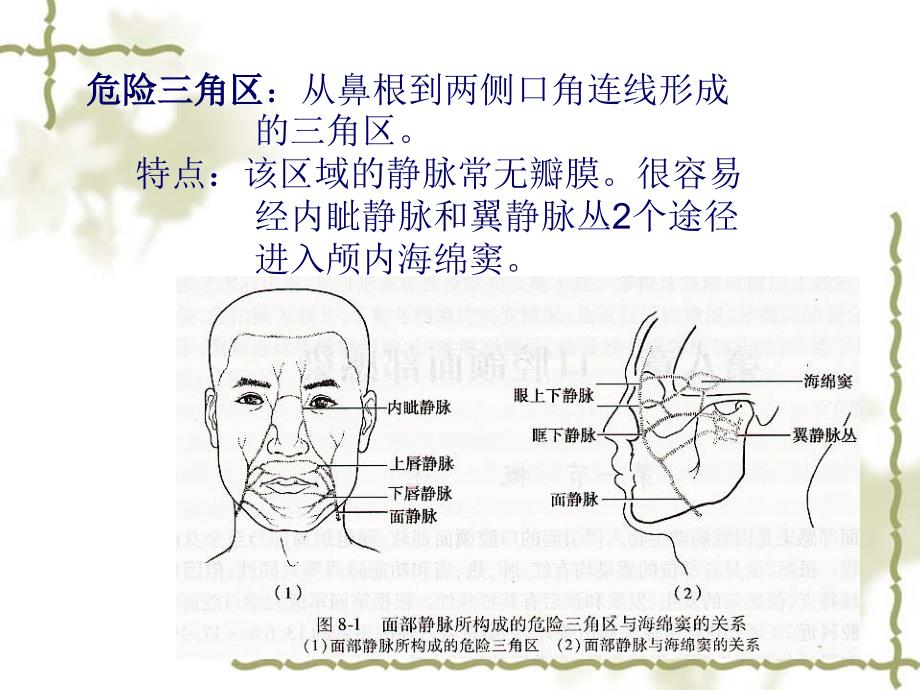 《颌面部间隙感染》PPT课件_第3页