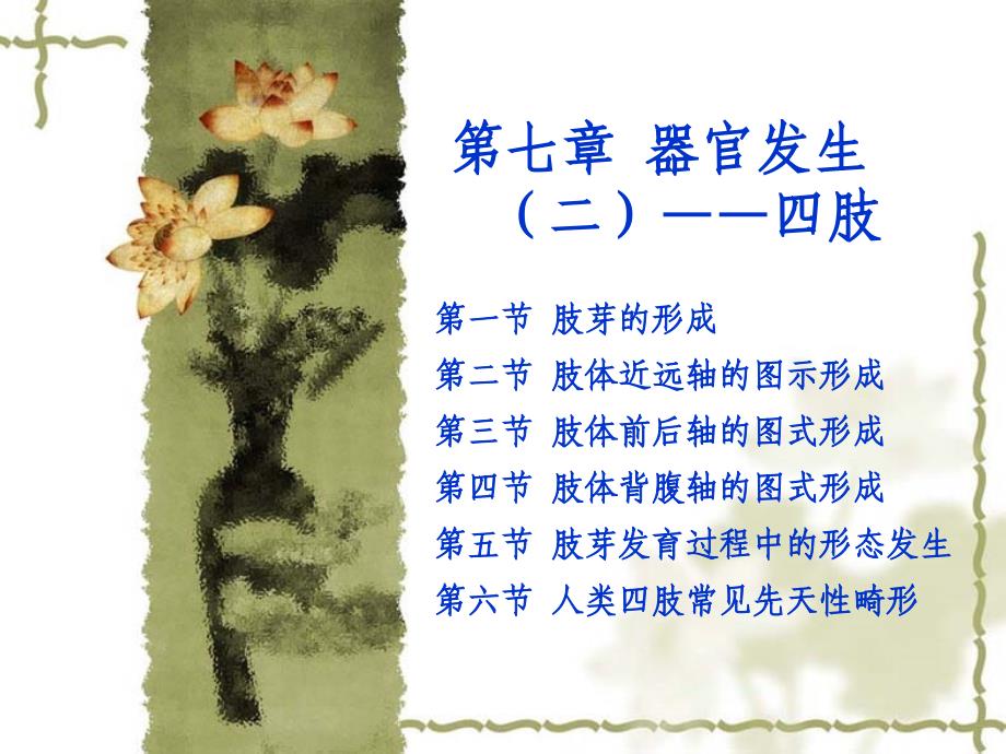 第七章-器官发生二四肢_第1页