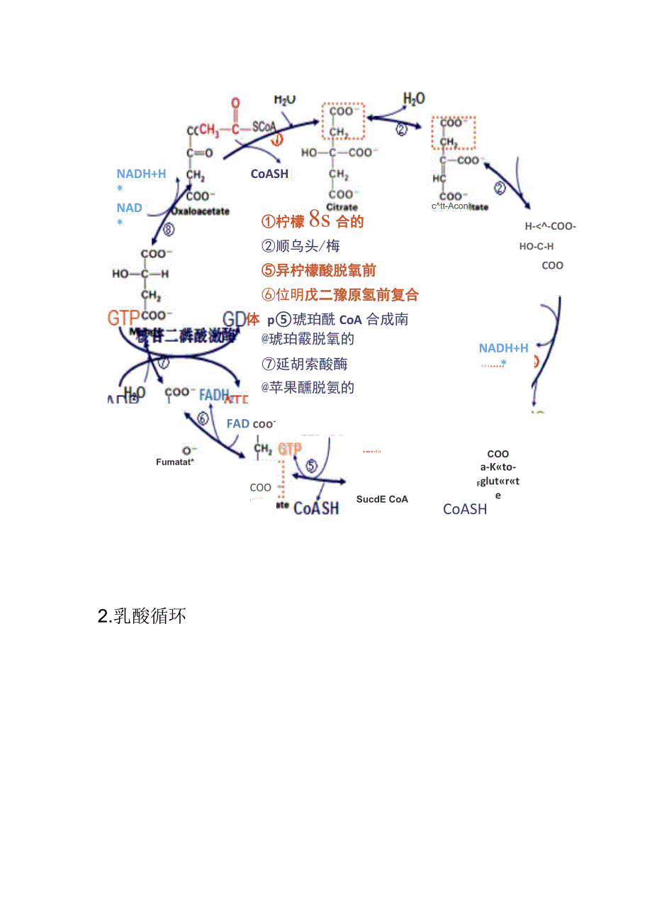 生物化学中若干循环和穿梭_第2页