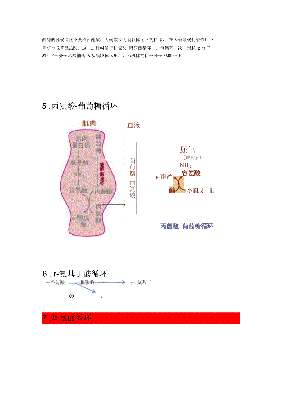 生物化学中若干循环和穿梭_第4页