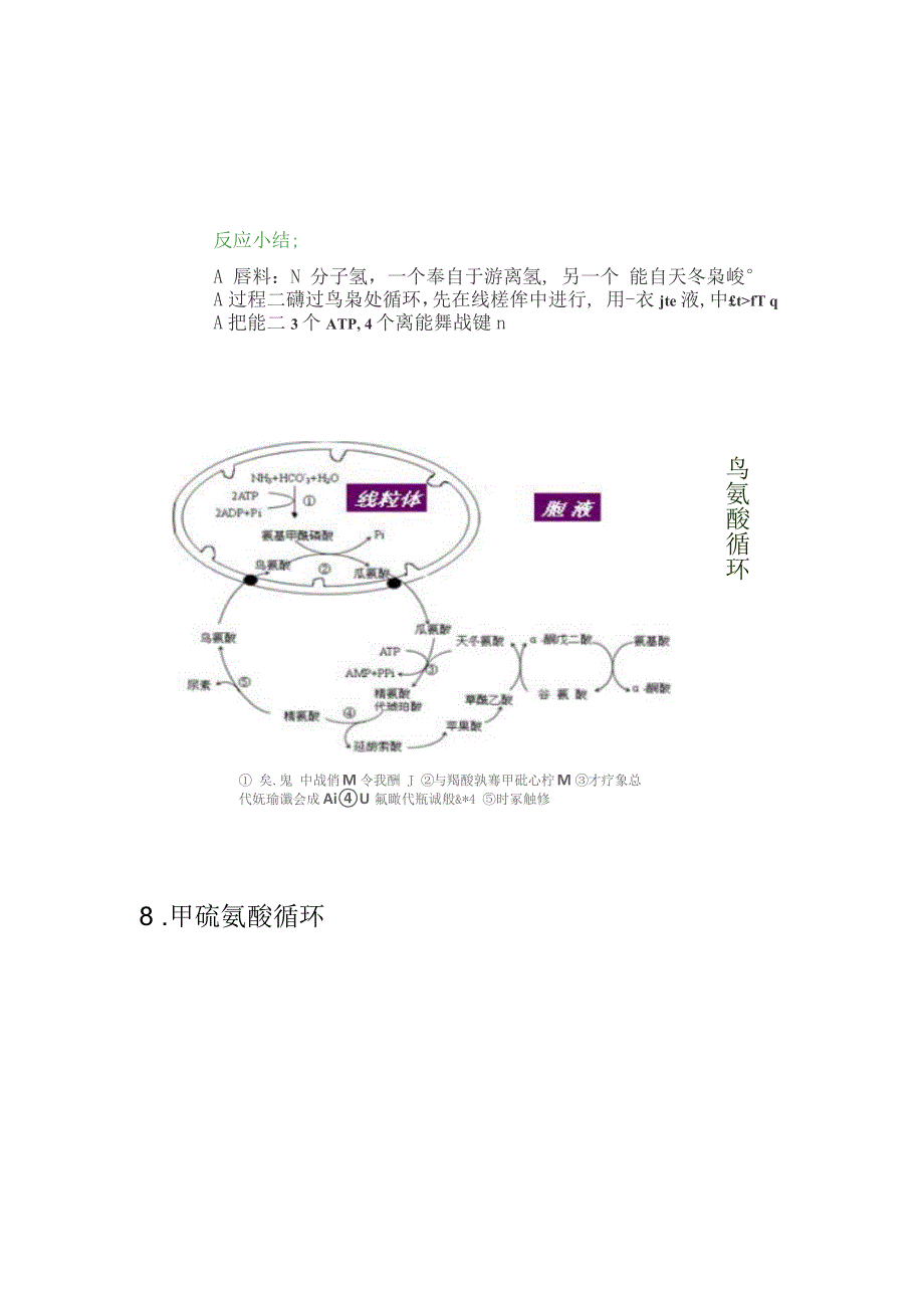 生物化学中若干循环和穿梭_第5页