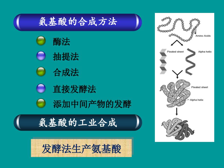 氨基酸合成方法_第2页