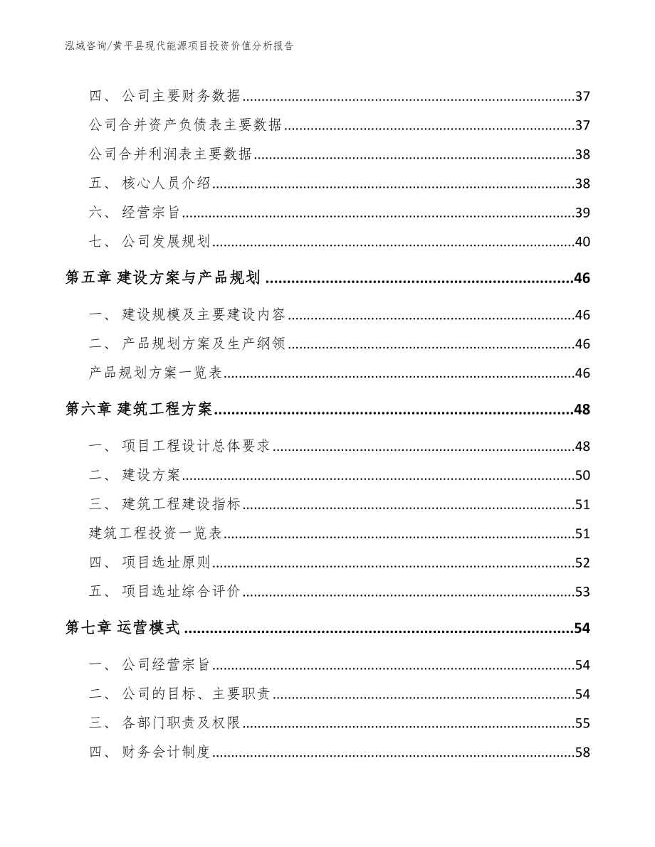 黄平县现代能源项目投资价值分析报告（范文）_第2页