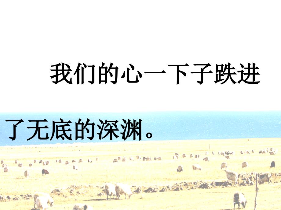 三年级语文上册最后一根火柴课件2语文A版语文A版小学三年级上册语文课件_第5页