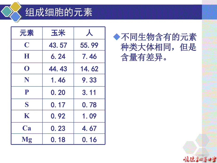 组成细胞的分子课件_第4页