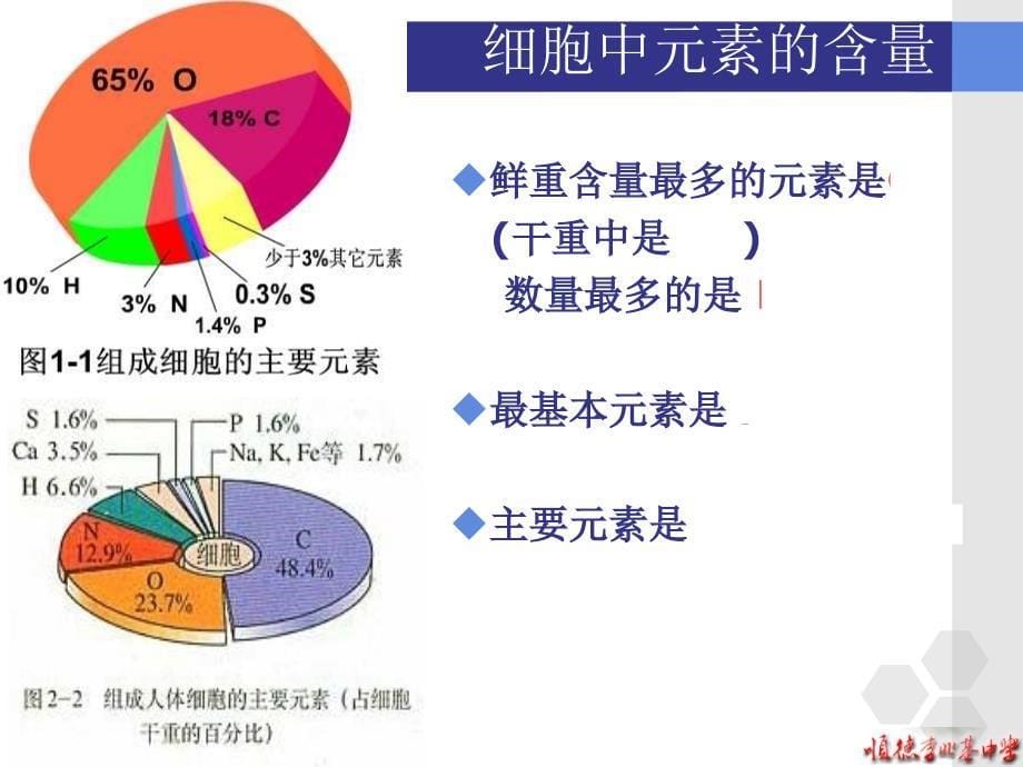 组成细胞的分子课件_第5页