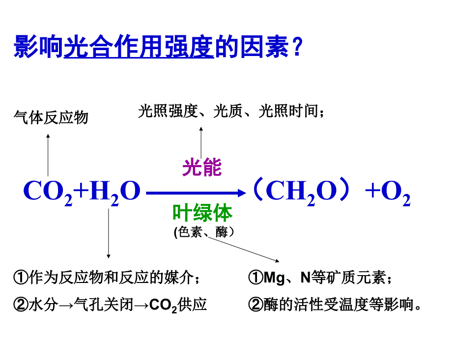 影响光合作用的因素及应用(一轮非常好)课件_第3页