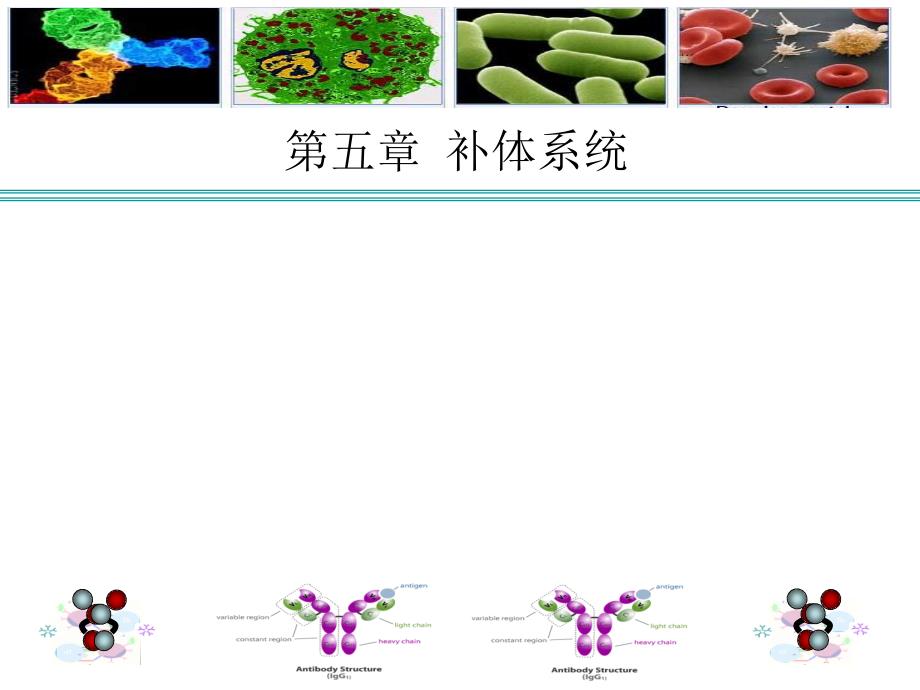 医学免疫学课件：第五章 补体系统_第1页