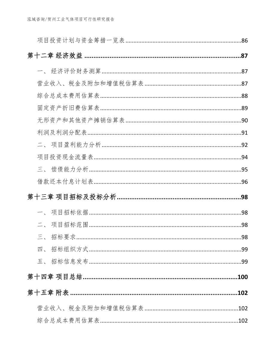 贺州工业气体项目可行性研究报告（模板范本）_第5页