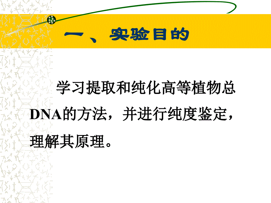 实验一植物DNA提取及检测_第2页