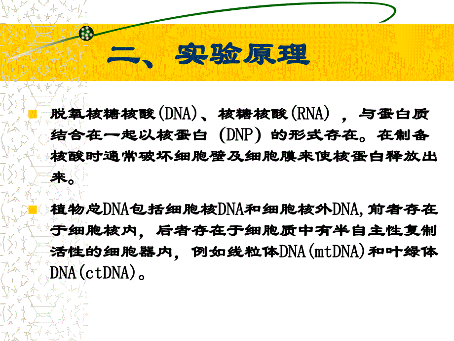 实验一植物DNA提取及检测_第3页