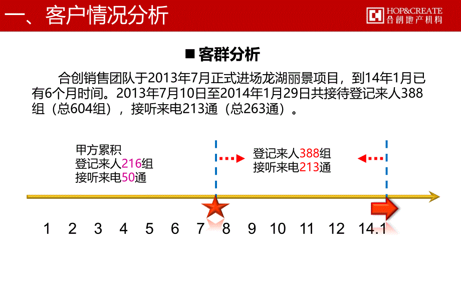 龙湖丽景营销计划 75p_第4页