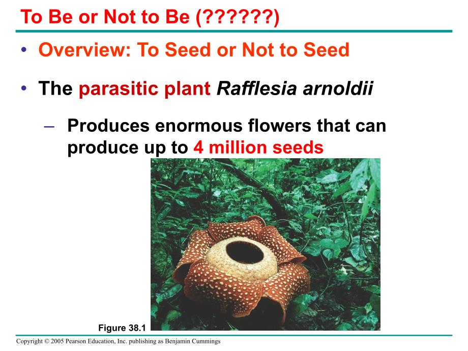 被子植物生殖与生物技术_第2页