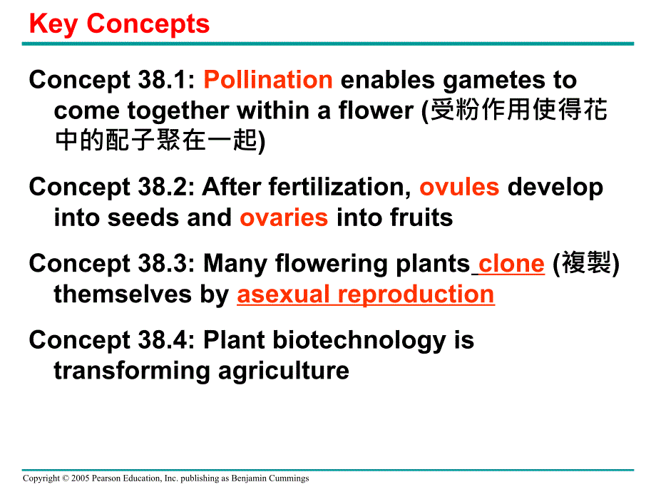 被子植物生殖与生物技术_第3页