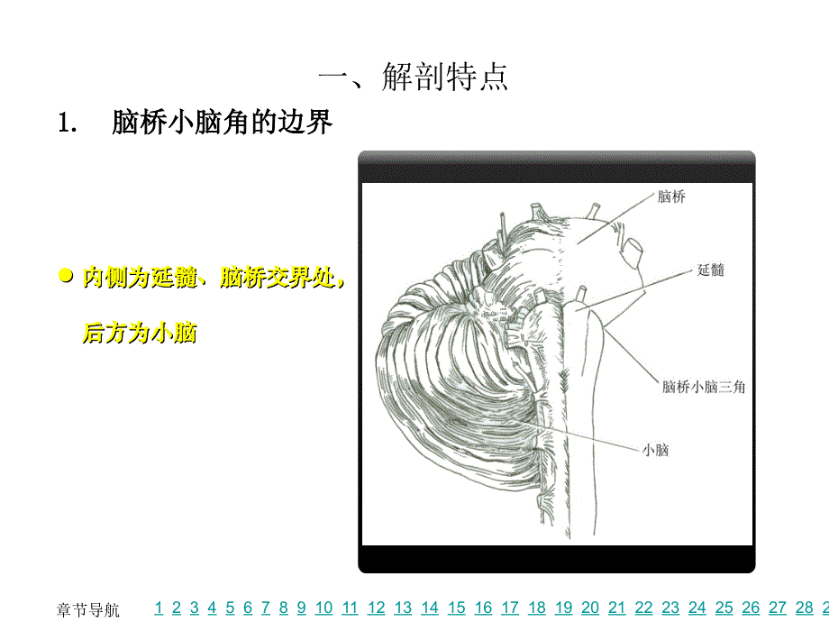 脑桥小脑角综合征临床解剖PPT课件02_第3页