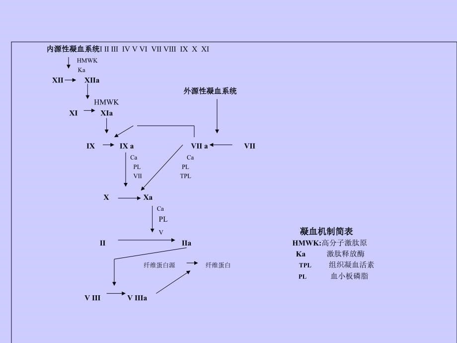 血小板GPIIBIIIA受体拮抗剂替罗非班医学百事通转_第5页