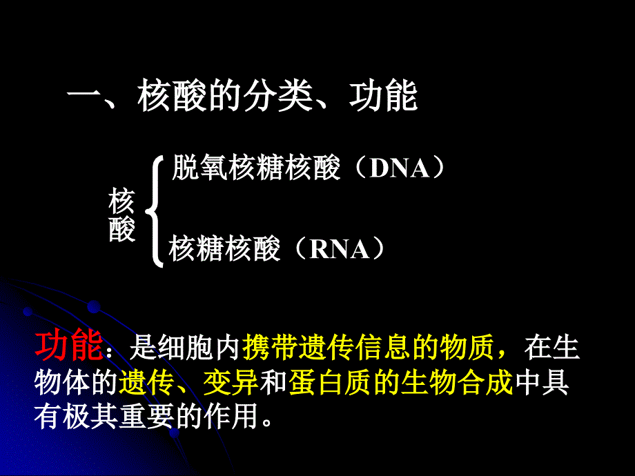 2.3遗传信息的携带者——核酸课件新人教版必修1申德伟[精选文档]_第2页