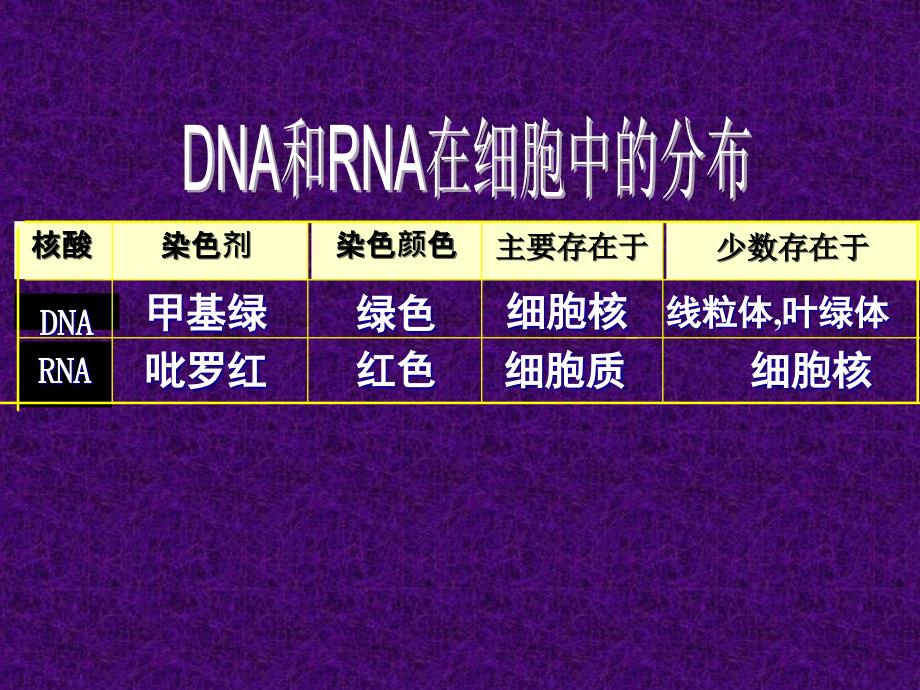 2.3遗传信息的携带者——核酸课件新人教版必修1申德伟[精选文档]_第3页