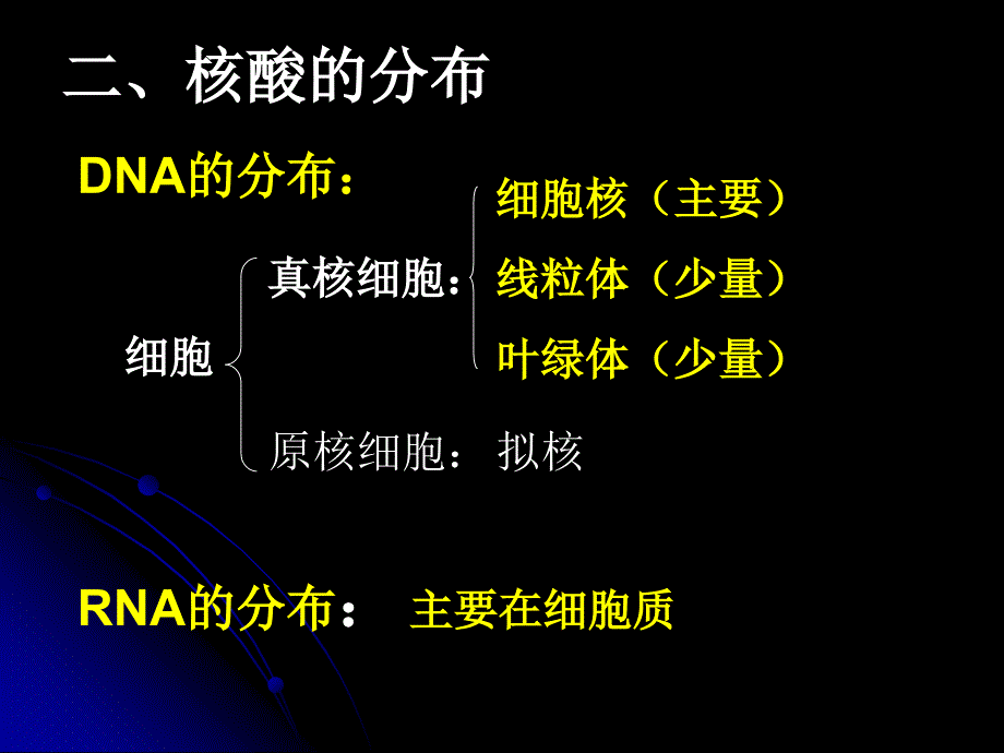 2.3遗传信息的携带者——核酸课件新人教版必修1申德伟[精选文档]_第4页