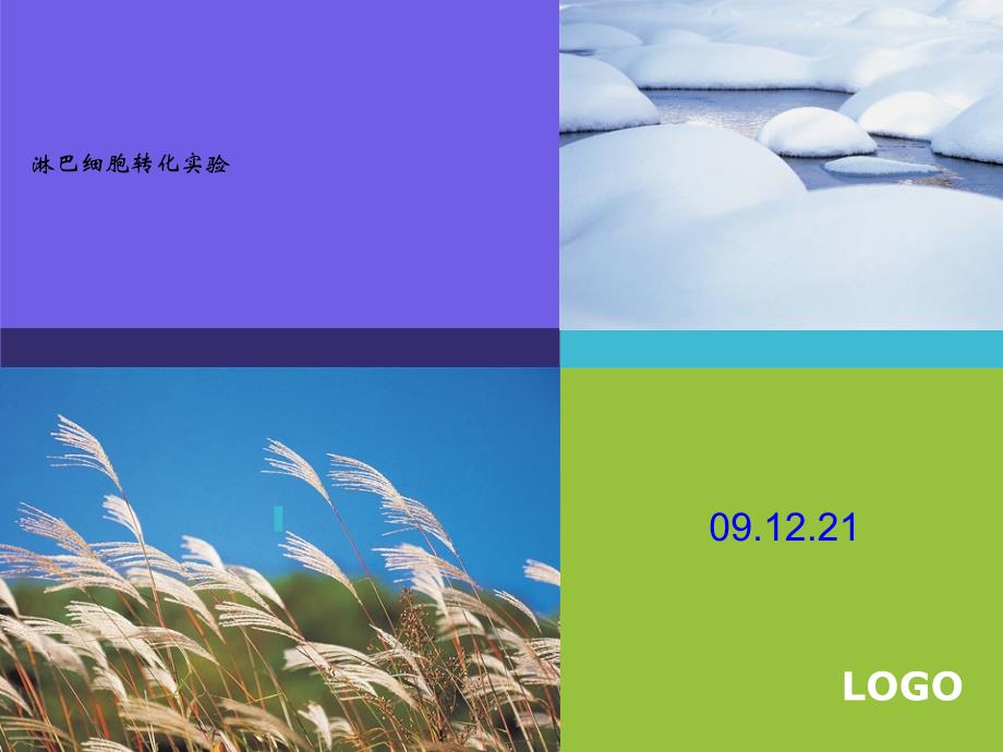 《淋巴细胞转化实验》PPT课件.ppt_第1页
