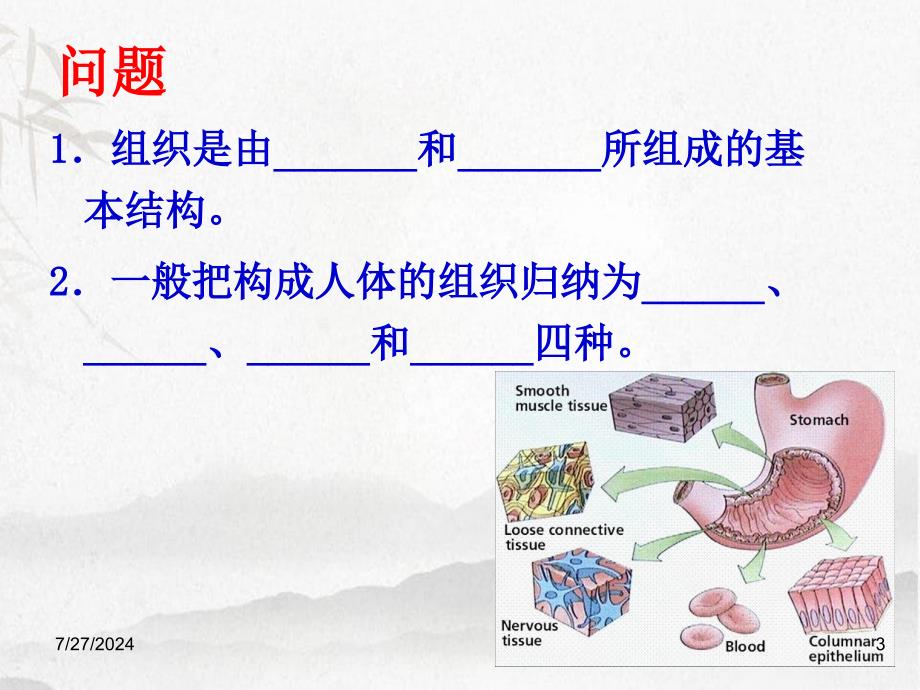 管理学人体组织解剖学第1章基本组织_第3页