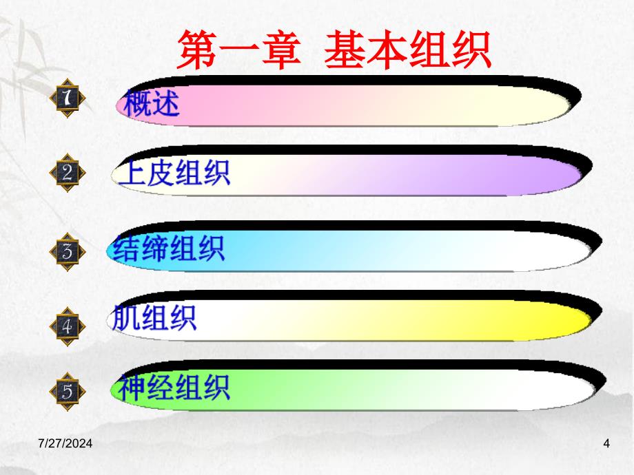 管理学人体组织解剖学第1章基本组织_第4页