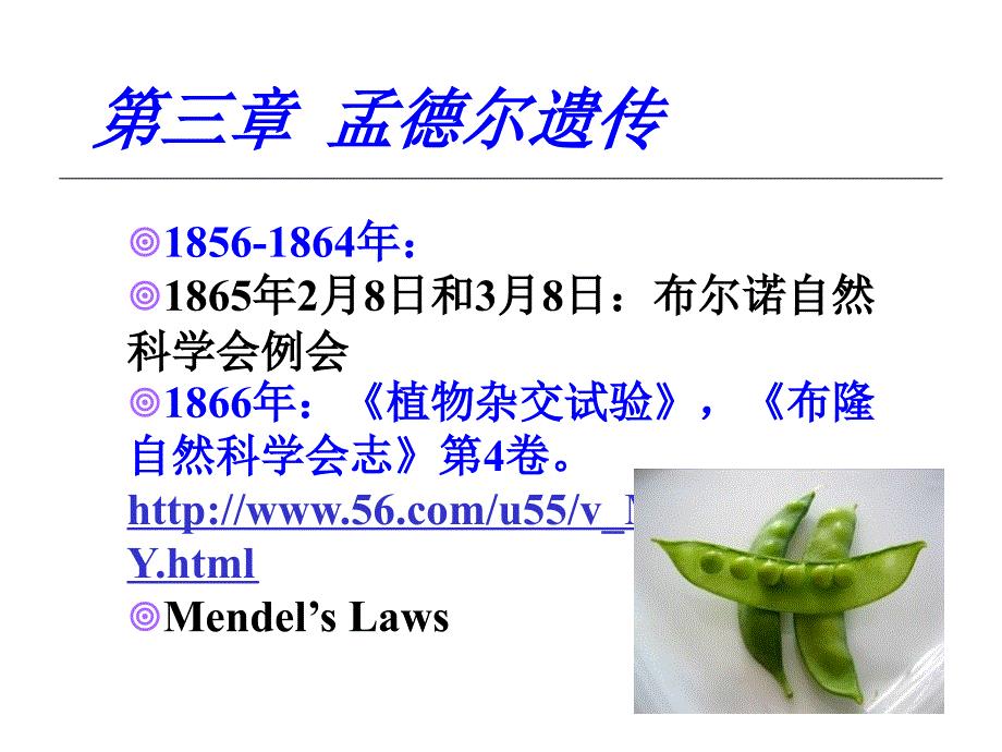 普通遗传学：第三章 孟德尔遗传