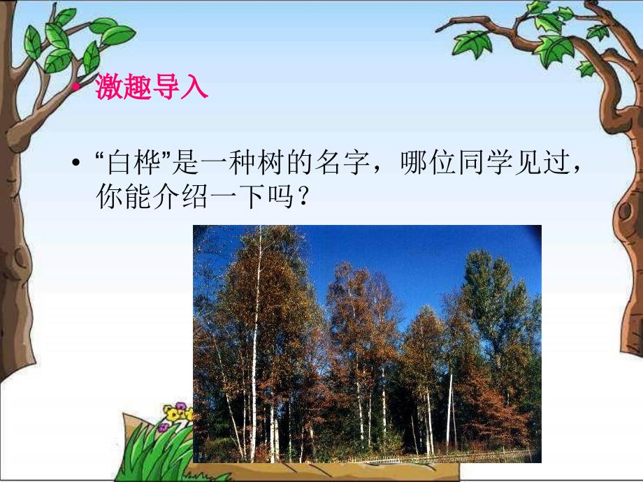 北师大版第十一册白桦林的低语PPT课件2_第3页