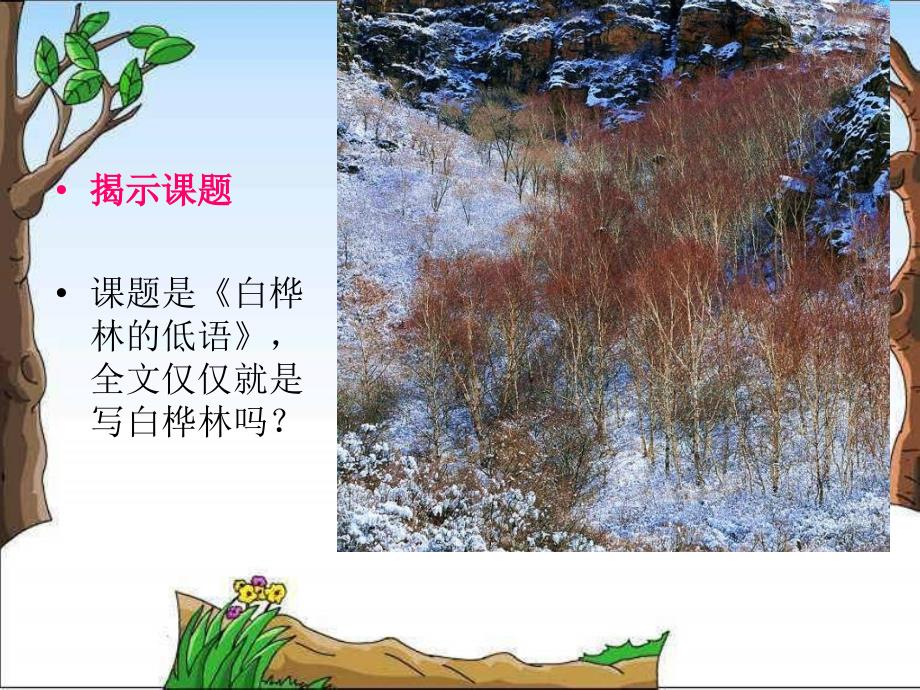 北师大版第十一册白桦林的低语PPT课件2_第4页