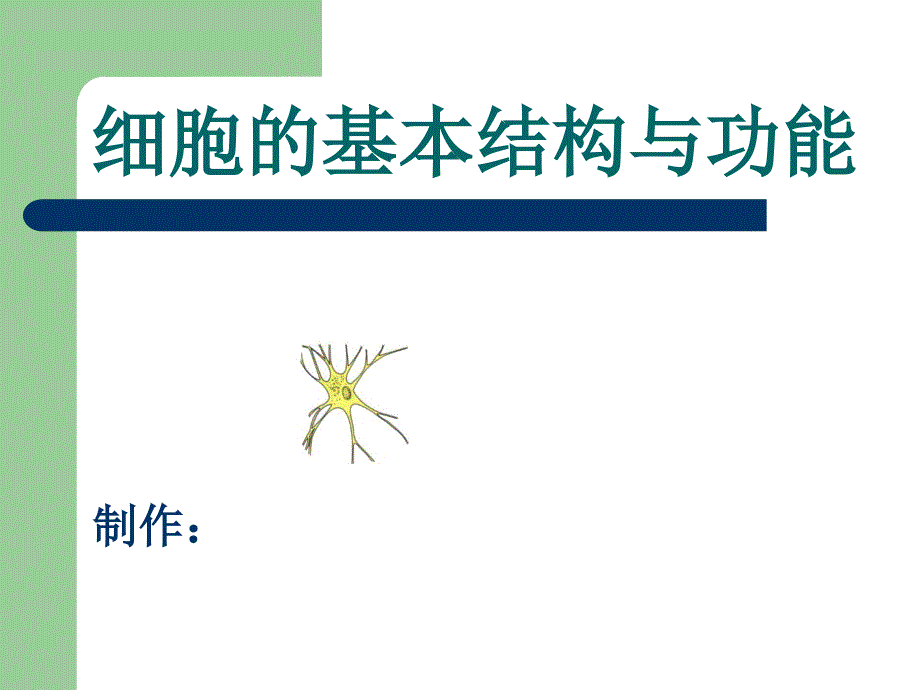 七年级生物细胞的基本结构和功能_第1页