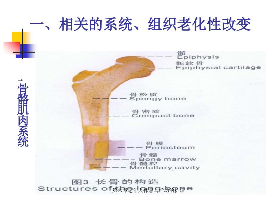 第六章老年人休息与活动的护理课件_第4页