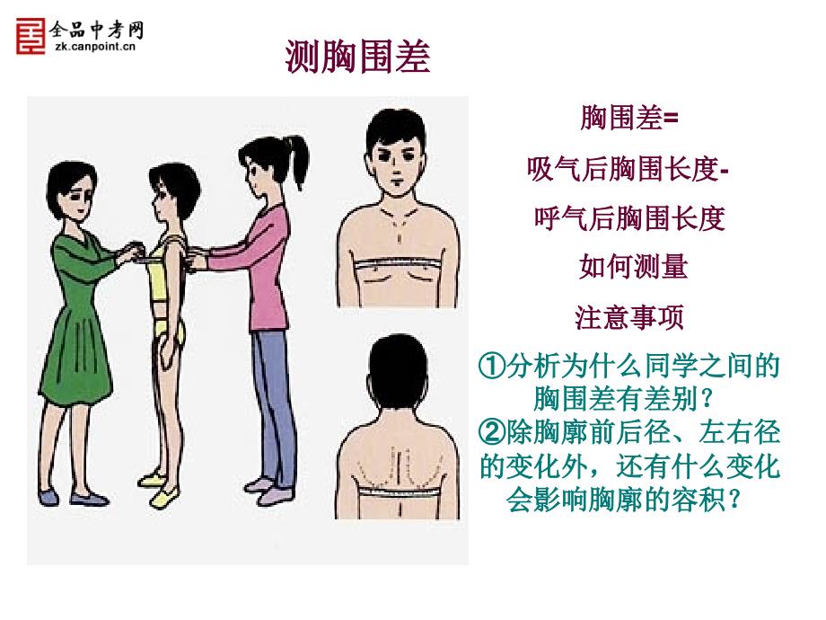 第四单元第三章第二节发生在肺内的气体交换文档资料_第4页