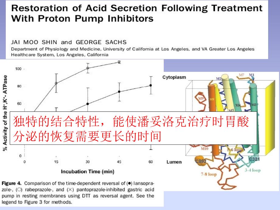 泮托拉唑在心血管疾病中的应用_第3页