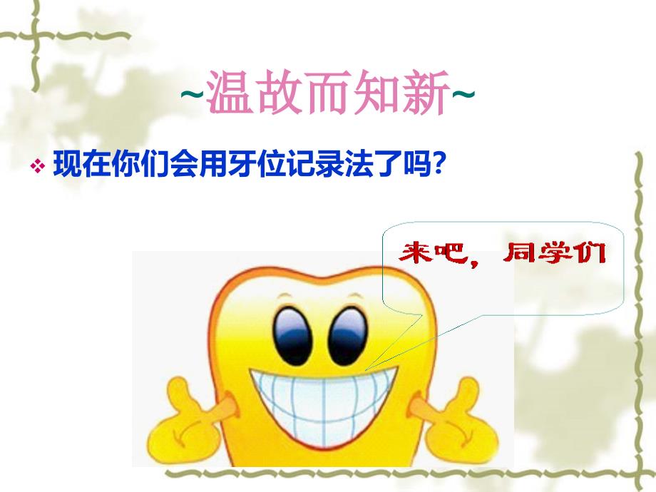 《牙的萌出》PPT课件.ppt_第2页