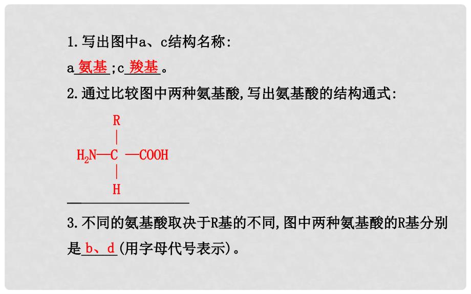 福建省高中生物 第2章 第2节生命活动的主要承担者 蛋白质课件 新人教版必修1_第4页