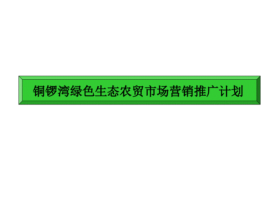 铜锣湾绿色食品贸易市场营销推广计划0611_第1页