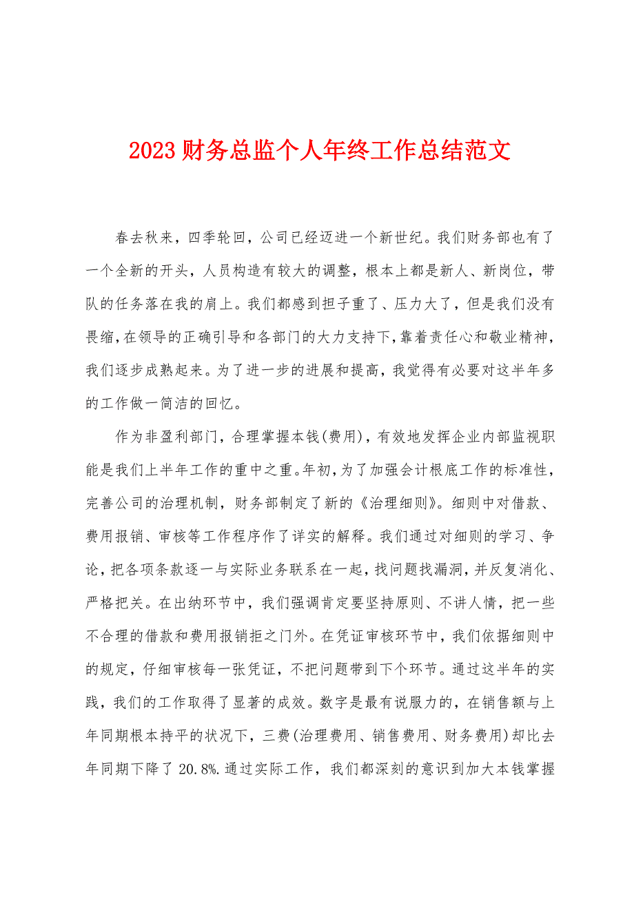 2023年财务总监个人年终工作总结范文.doc_第1页