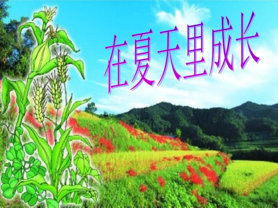 在夏天里成长1_第1页