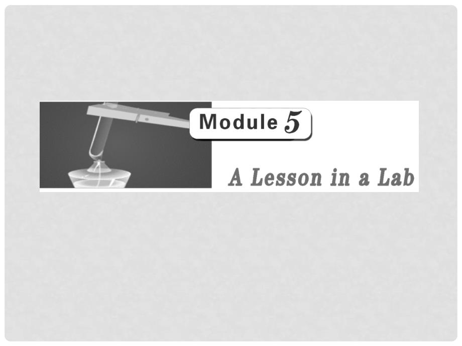 高考英语 Module5ALessoninaLab件外研版_第1页