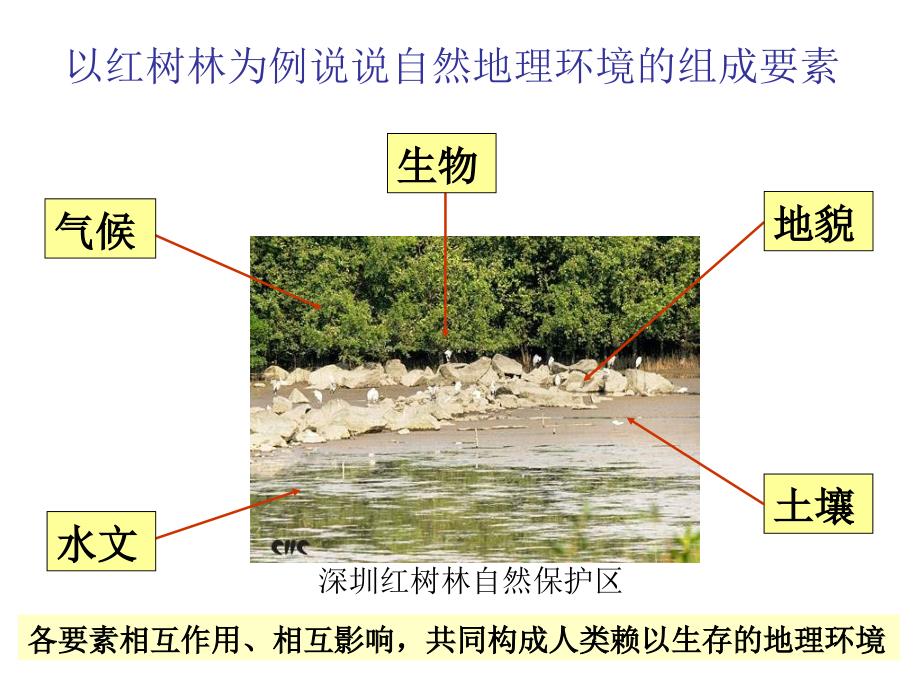 高一地理气候及其在地理环境中的作用.ppt_第3页