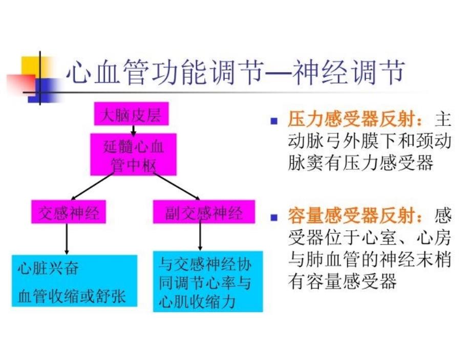 最新心血管药物在麻醉中的应用PPT课件_第3页